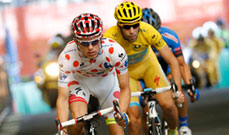 開催日は10月24日（土）に決定！！