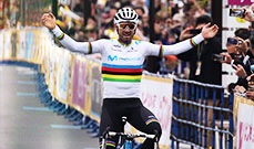 本日のレース結果