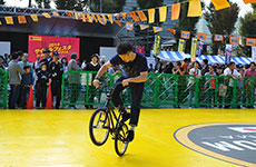 Cycle Festa