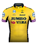 TEAM JUMBO - VISMA