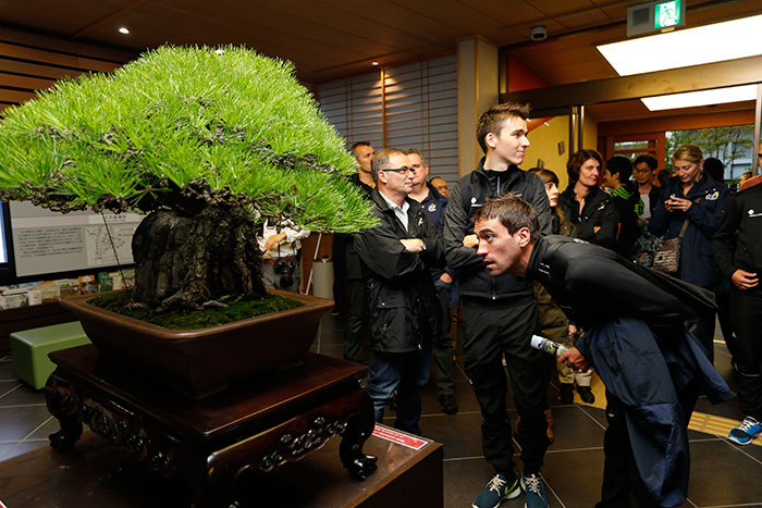 さいたま市の伝統産業にも指定されている盆栽の名品に興味津々…